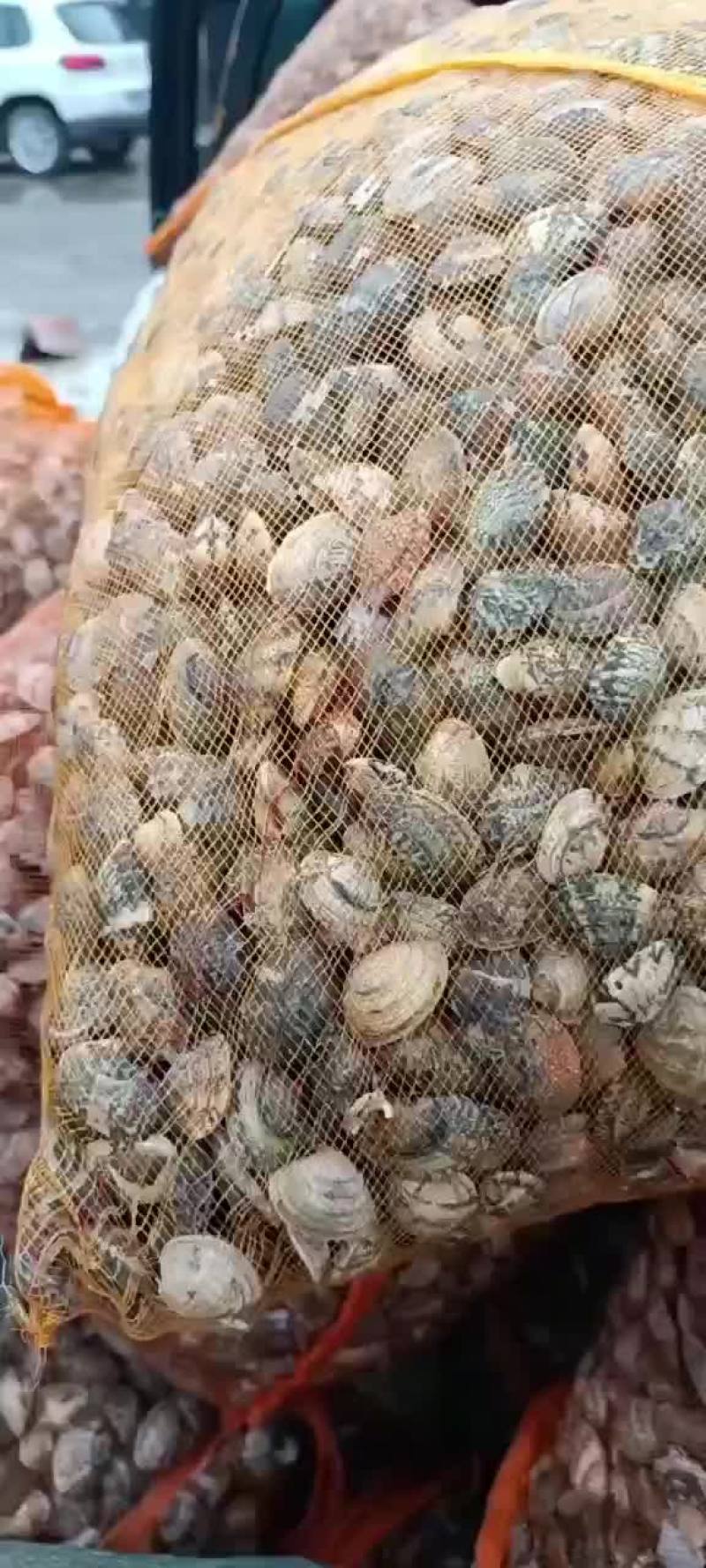 120粒花蛤螃蟹的好食粮，已加工，需要的联系