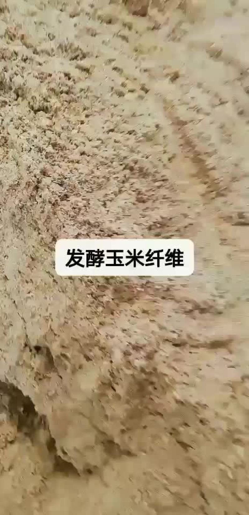 发酵玉米纤维