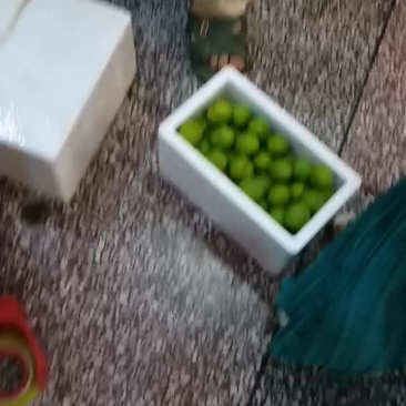 青脆李