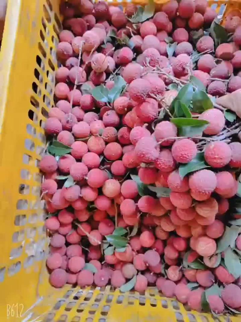 香荔一级货