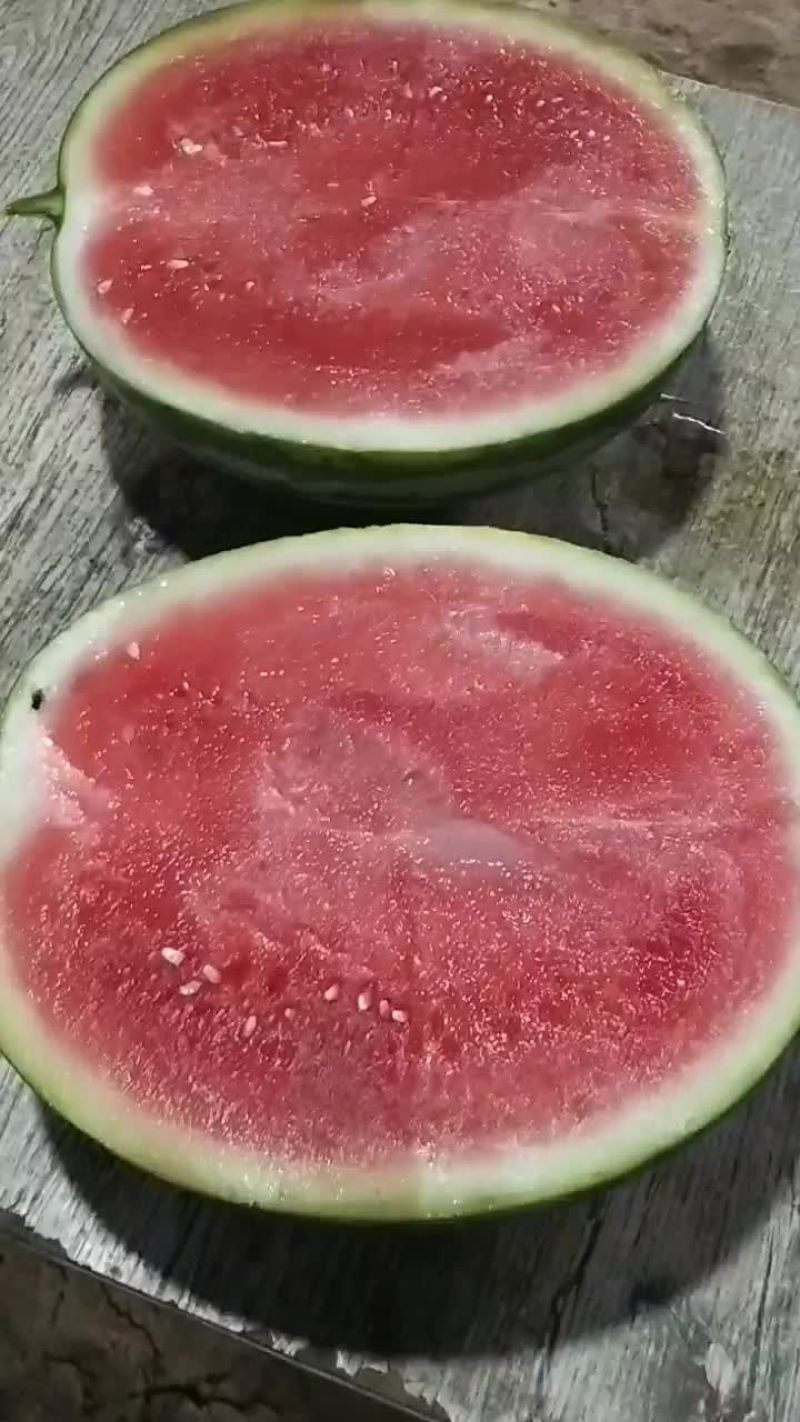 甜王大量上市