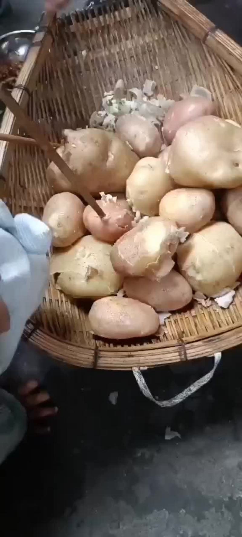 老品种土豆