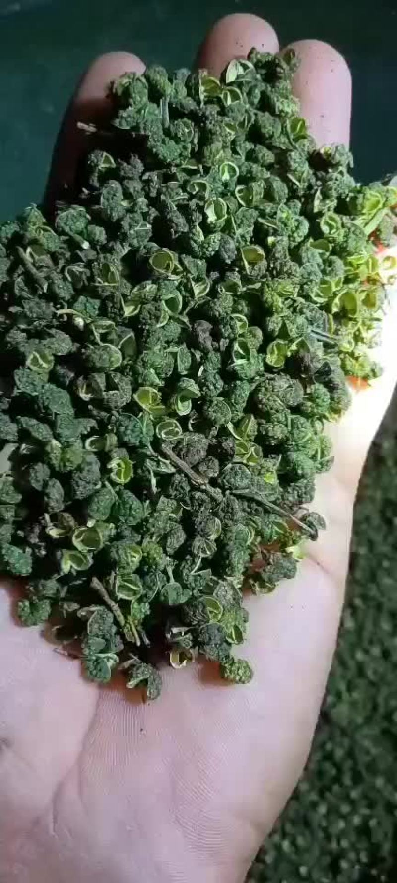 云南精品花椒，干的，新鲜的都有，质量好，需要的老板联系了