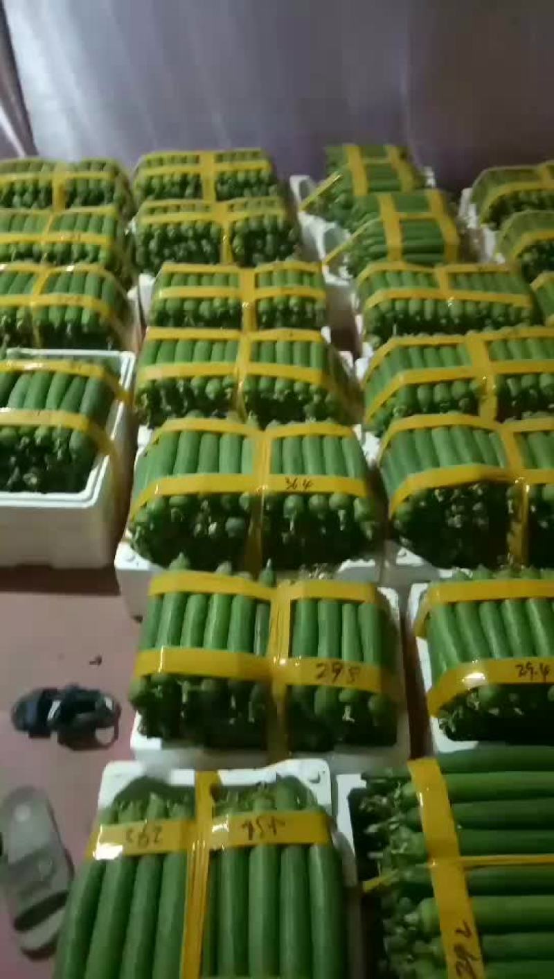 丝瓜