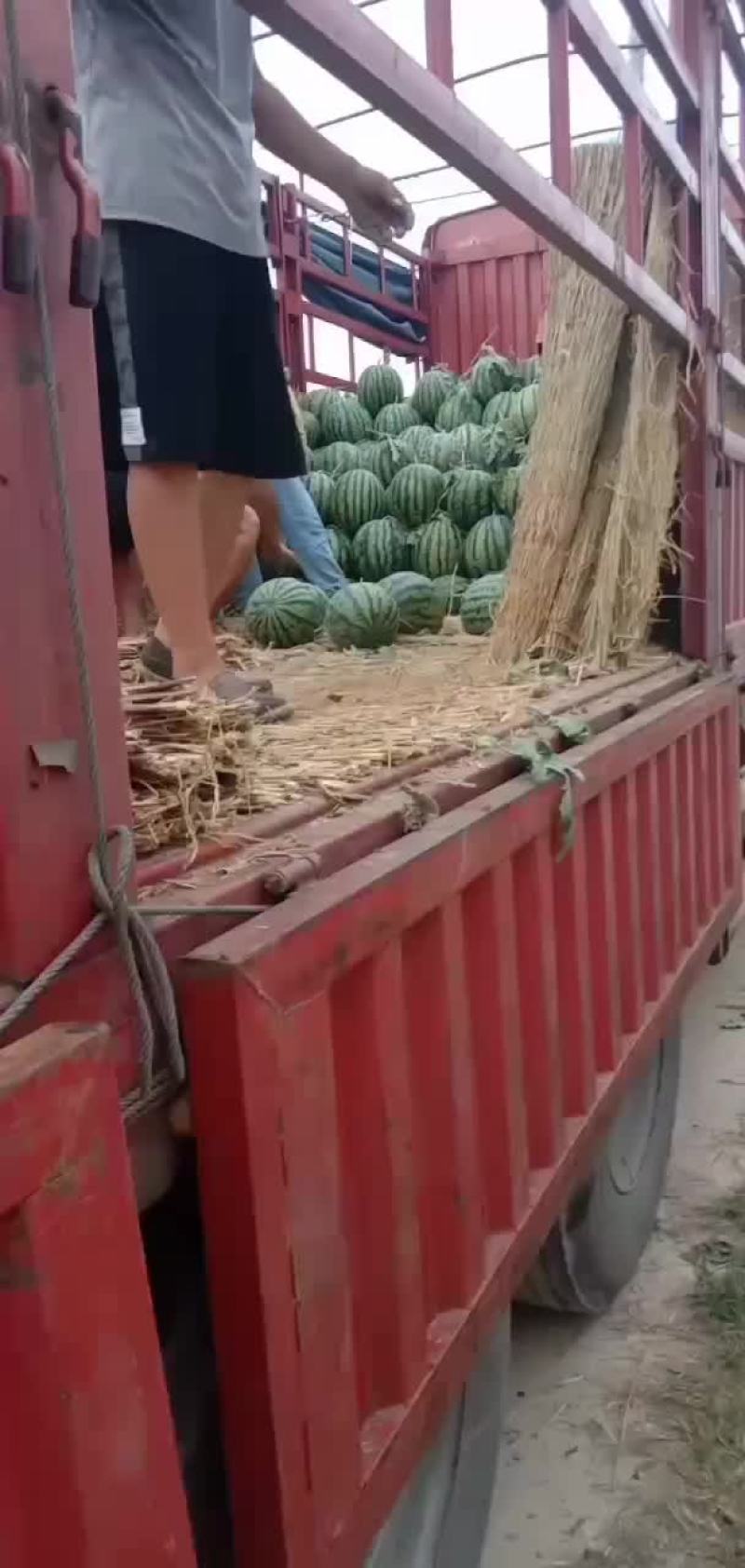 甜王