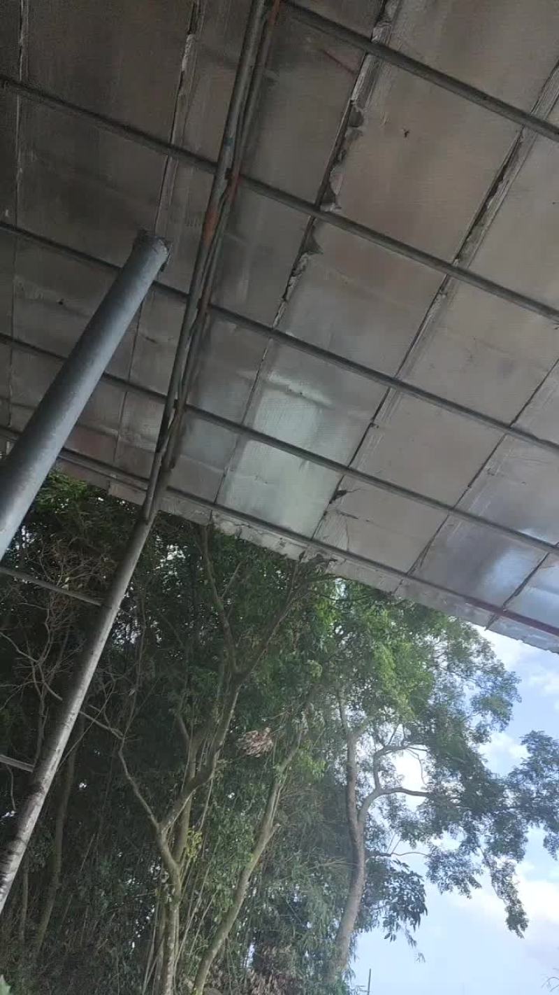 冷库出租