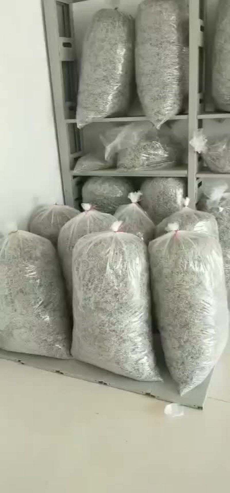 高山莓茶