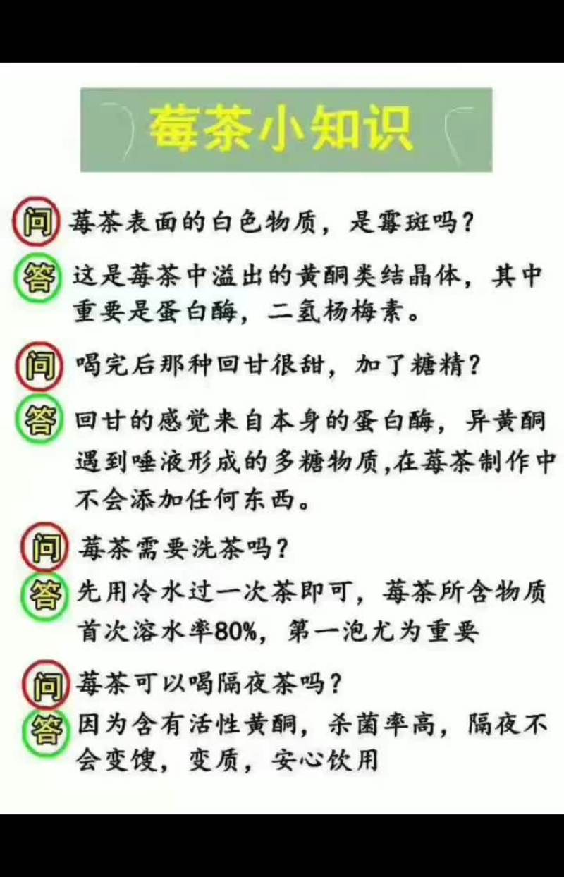 高山莓茶