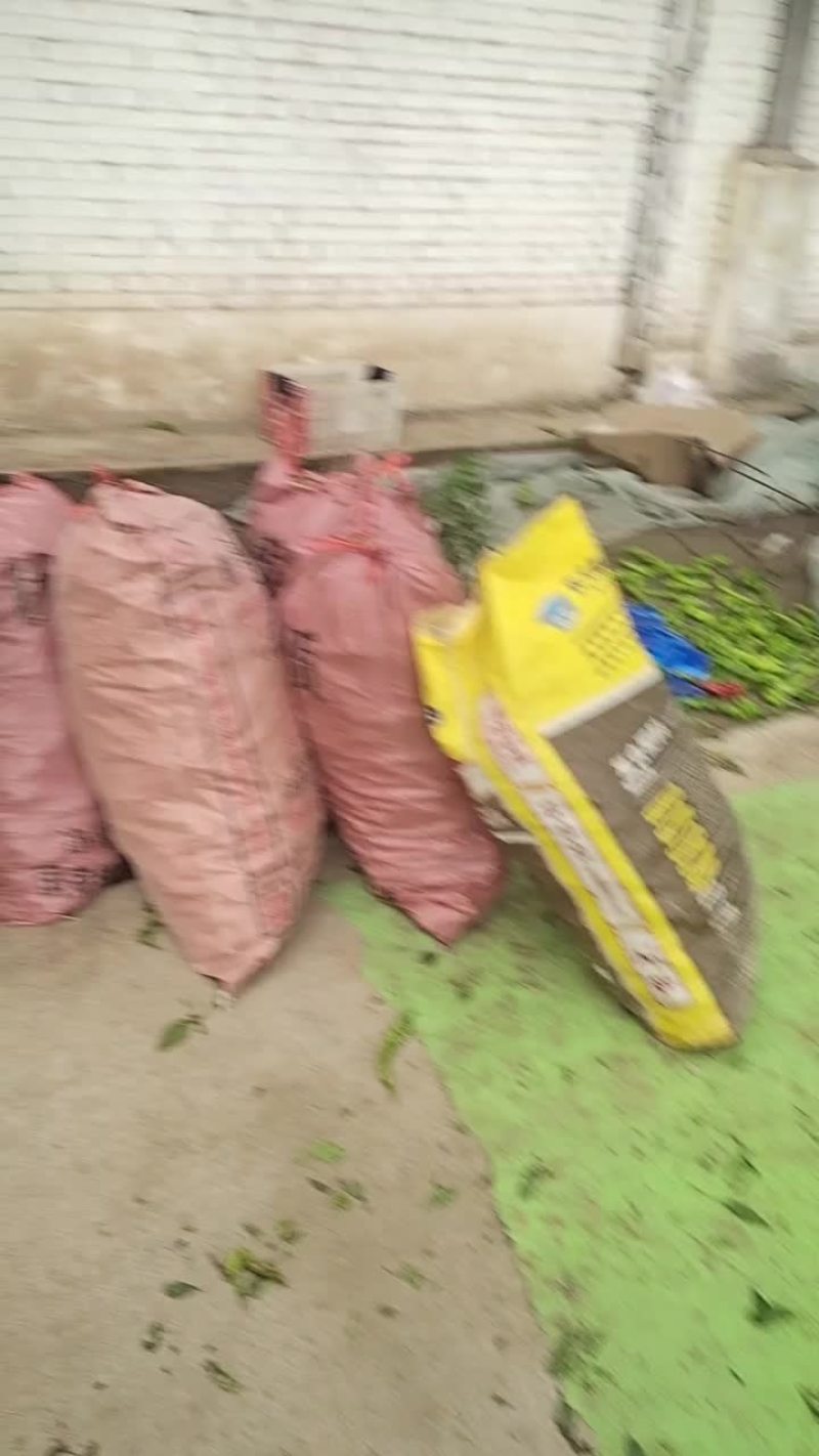 螺丝椒
