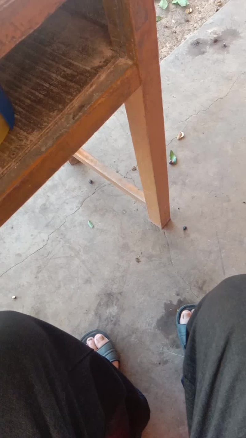 卖龙眼