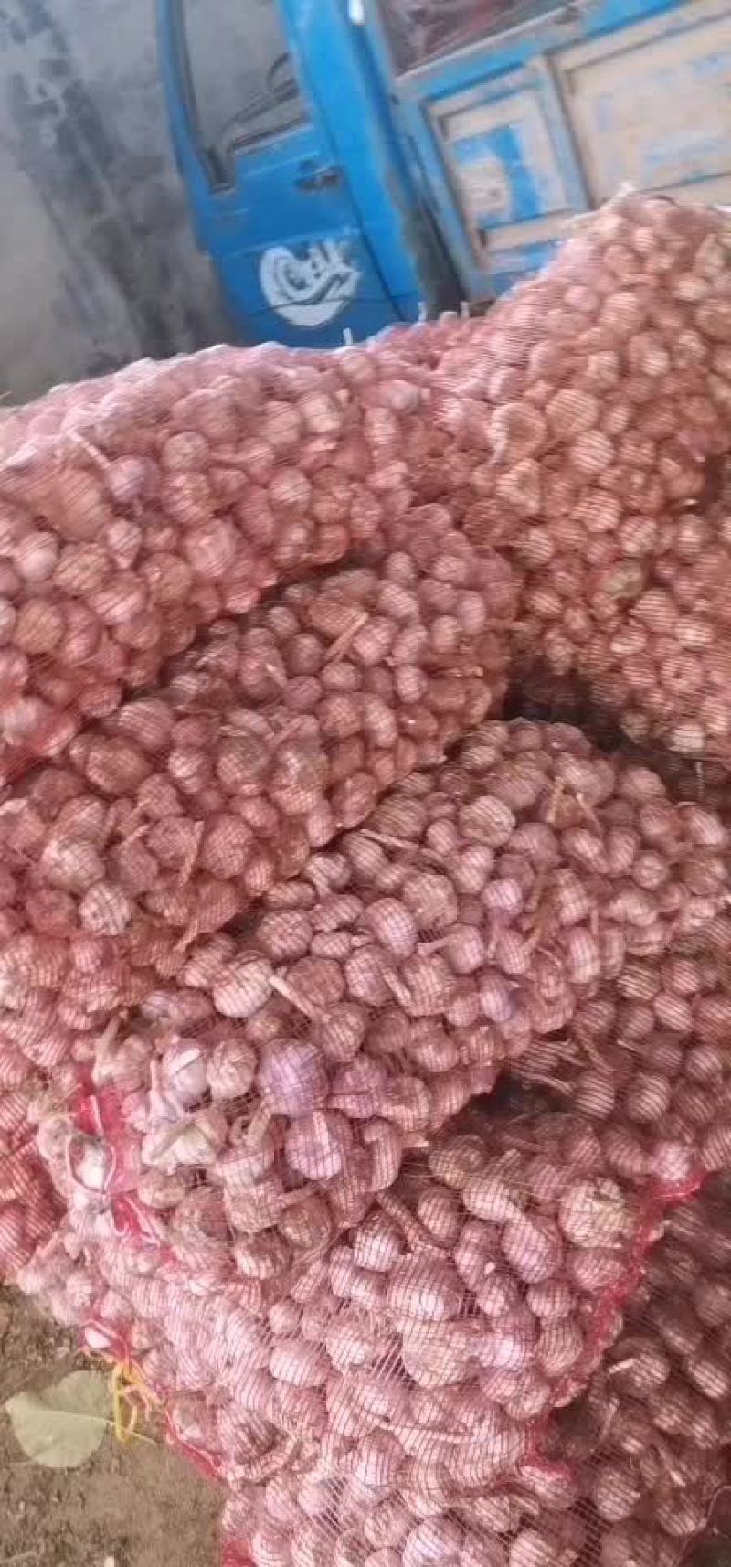 大蒜，山东紫皮大蒜
