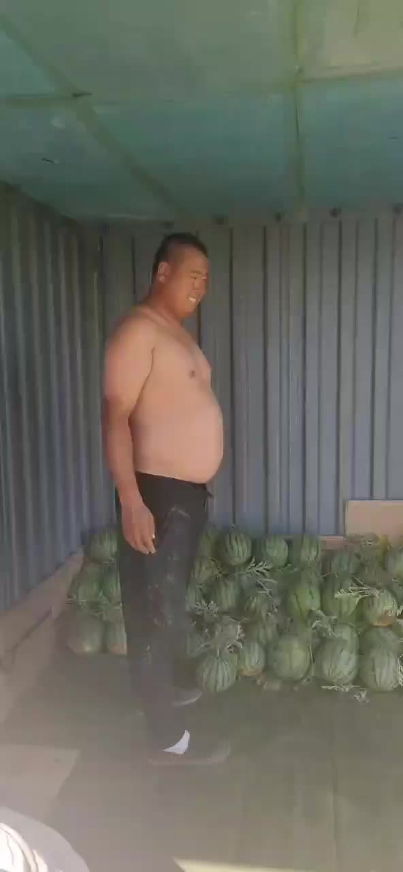 台头西瓜