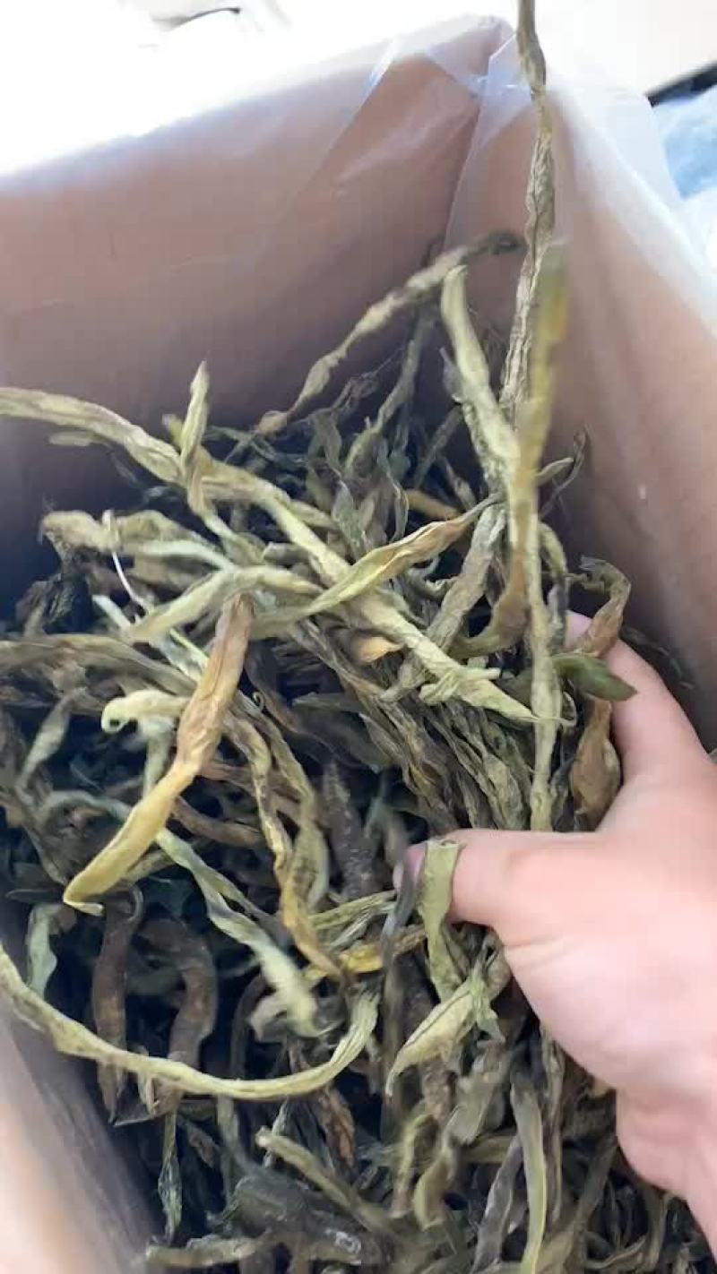 新货架豆王，各种等级，大量现货