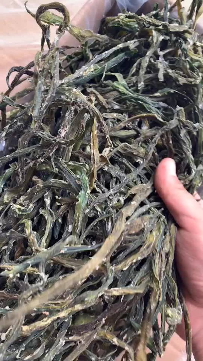 新货架豆王，各种等级，大量现货