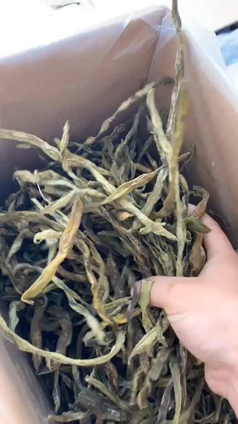 新货架豆王，各种等级，大量现货