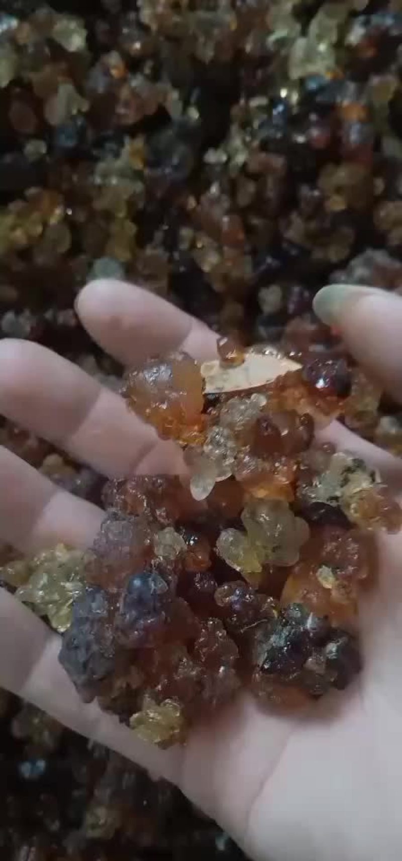 桃胶