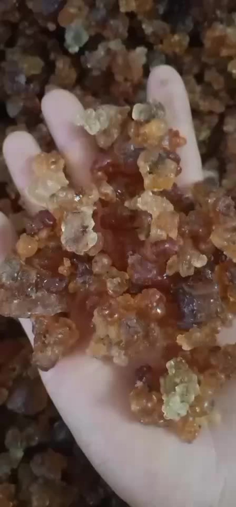 桃胶