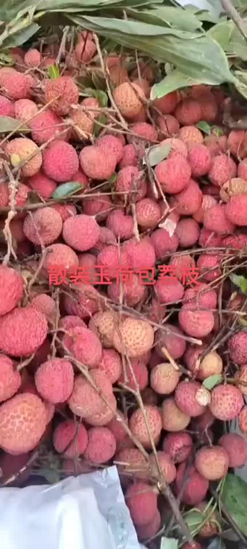 荔枝