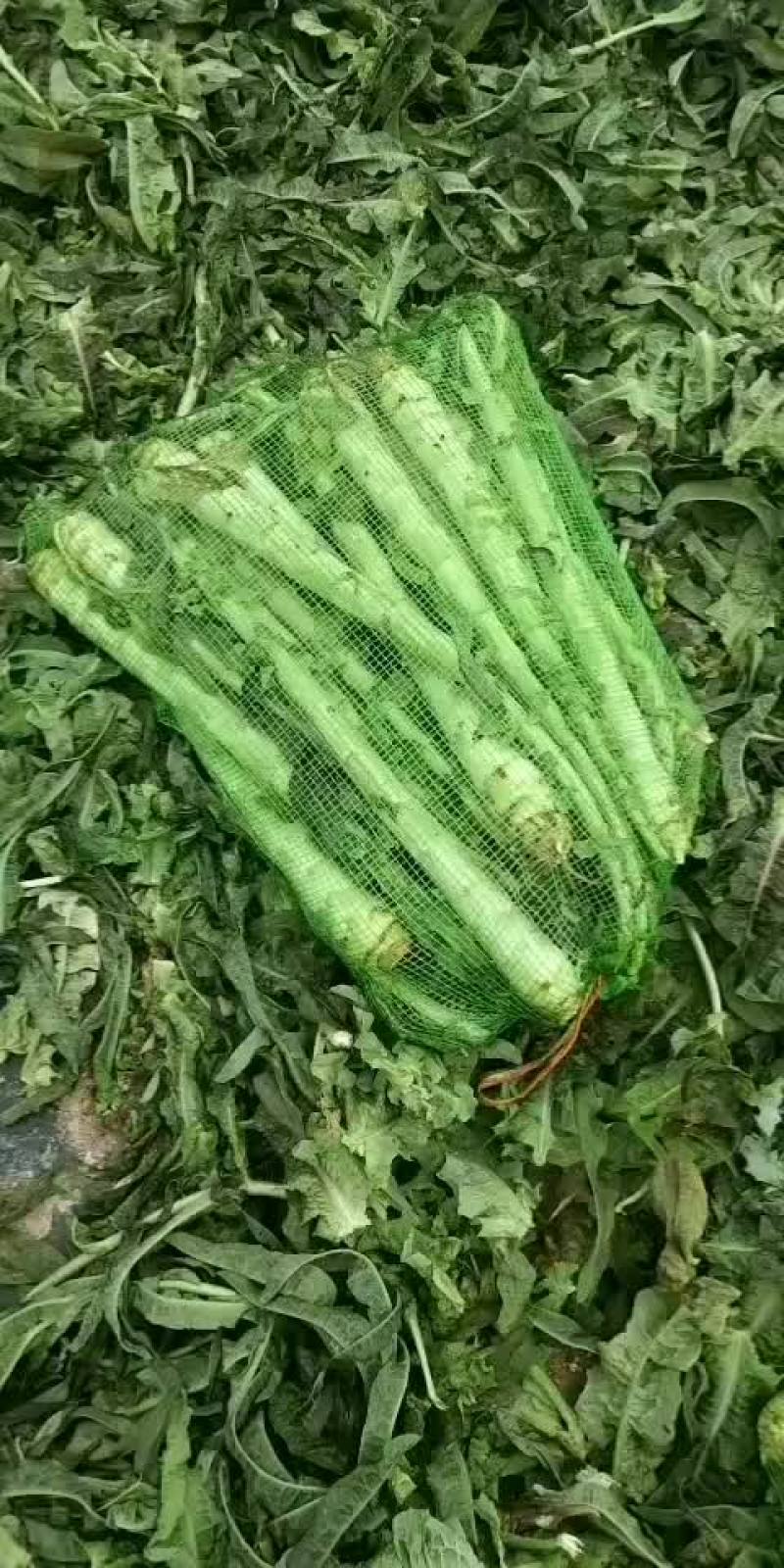 莴笋