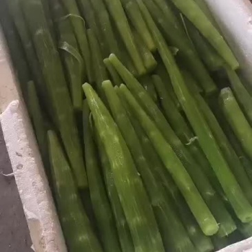 香笋