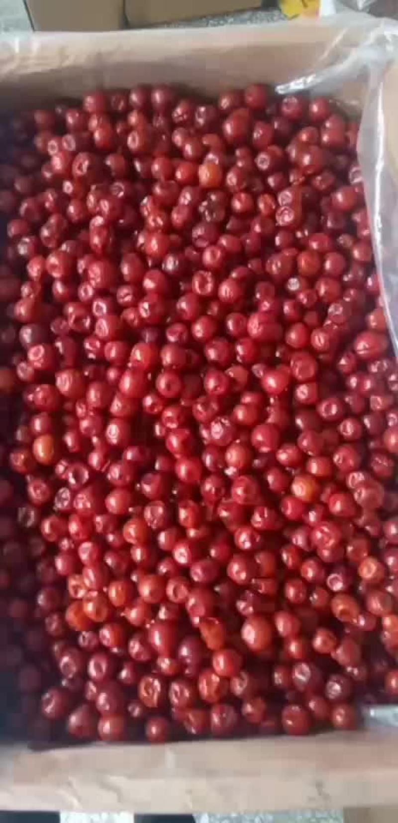 酸枣，酸枣面