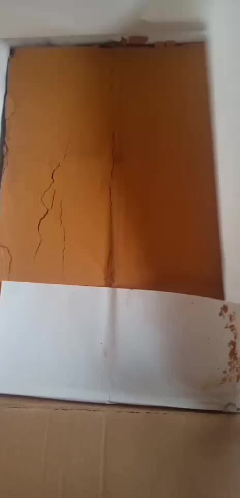 酸枣，酸枣面