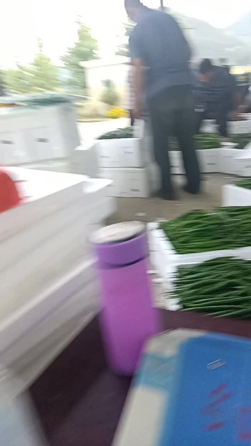 辣椒