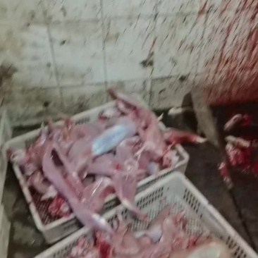 兔肉