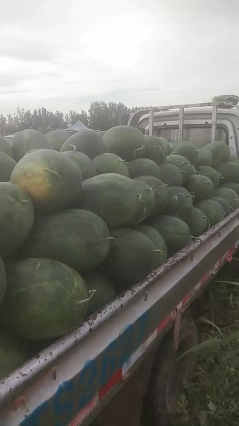 请看这瓜几成火