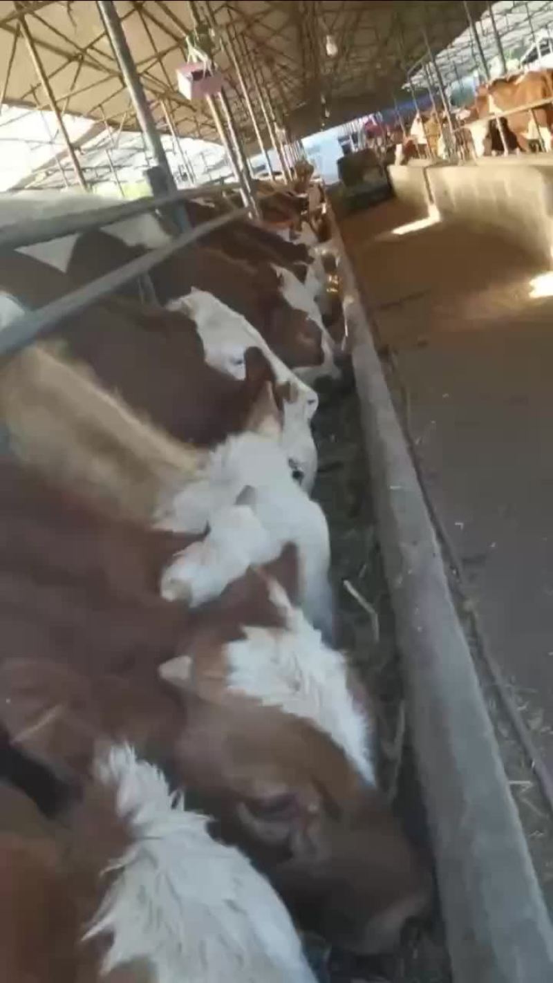 包运输包质量