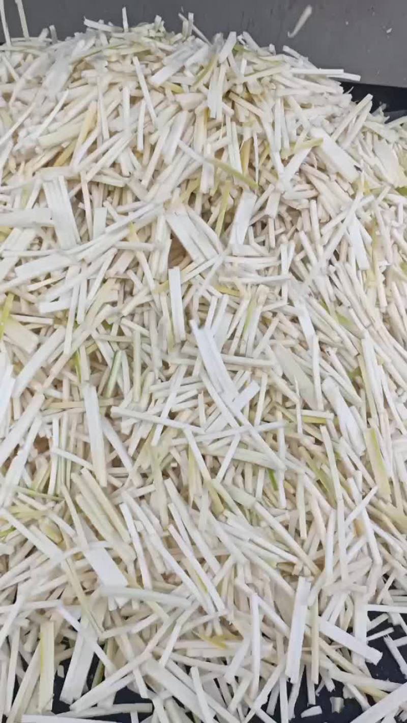 广西酸笋