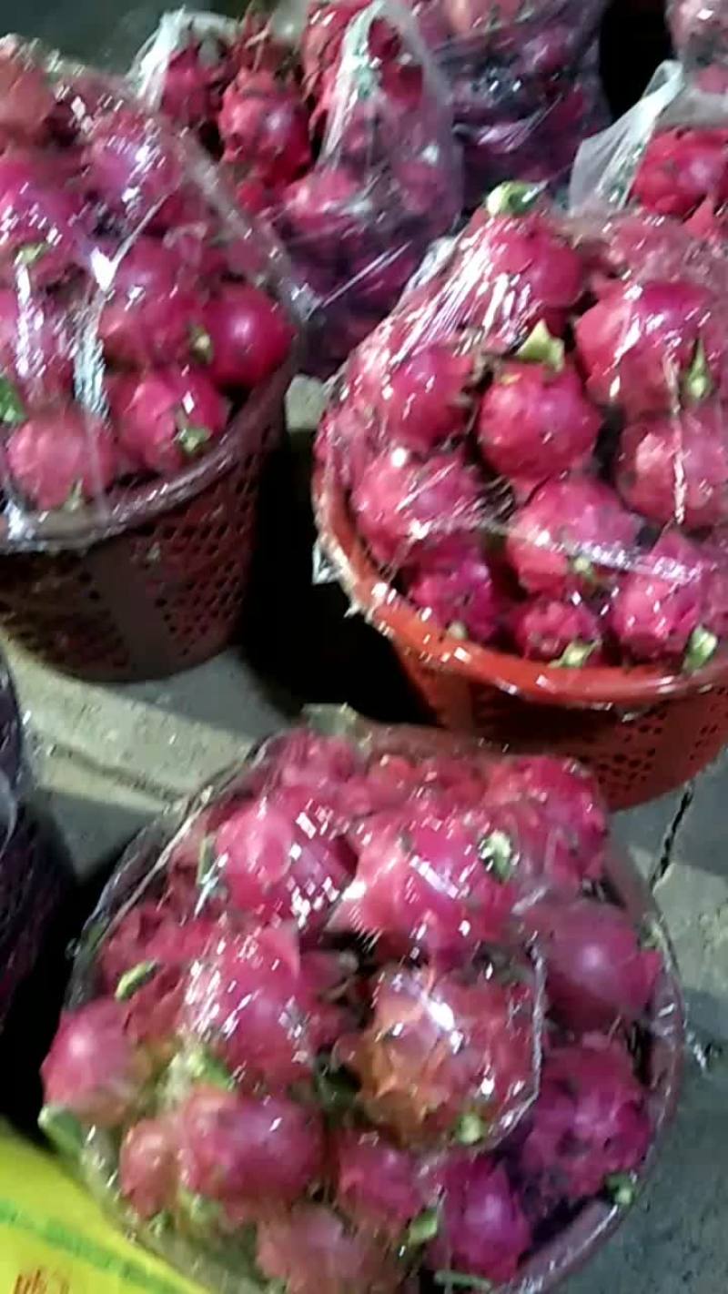 火龙果