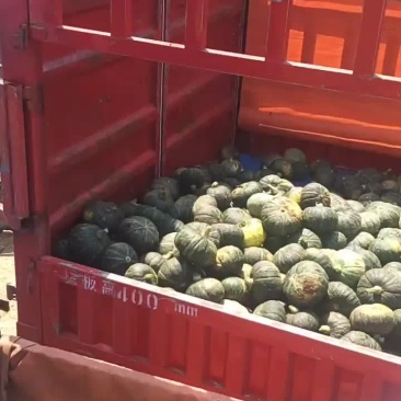南瓜