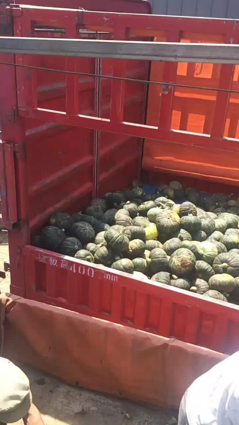 南瓜