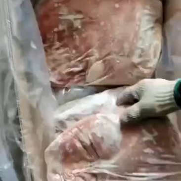 乳牛排