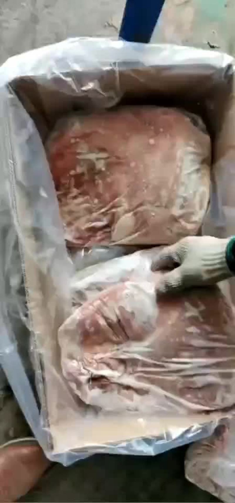 乳牛排
