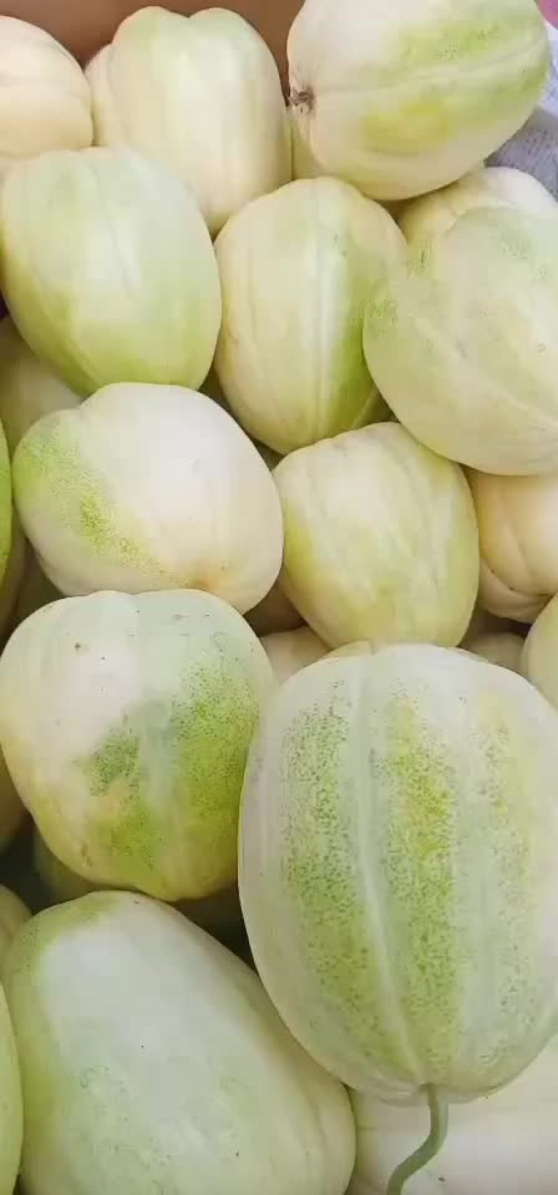 又甜又脆的本地香瓜