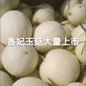 玉菇甜瓜，香甜可口