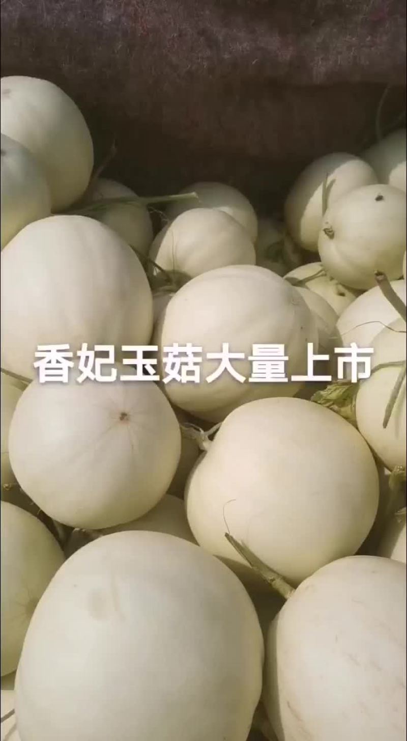 玉菇甜瓜，香甜可口