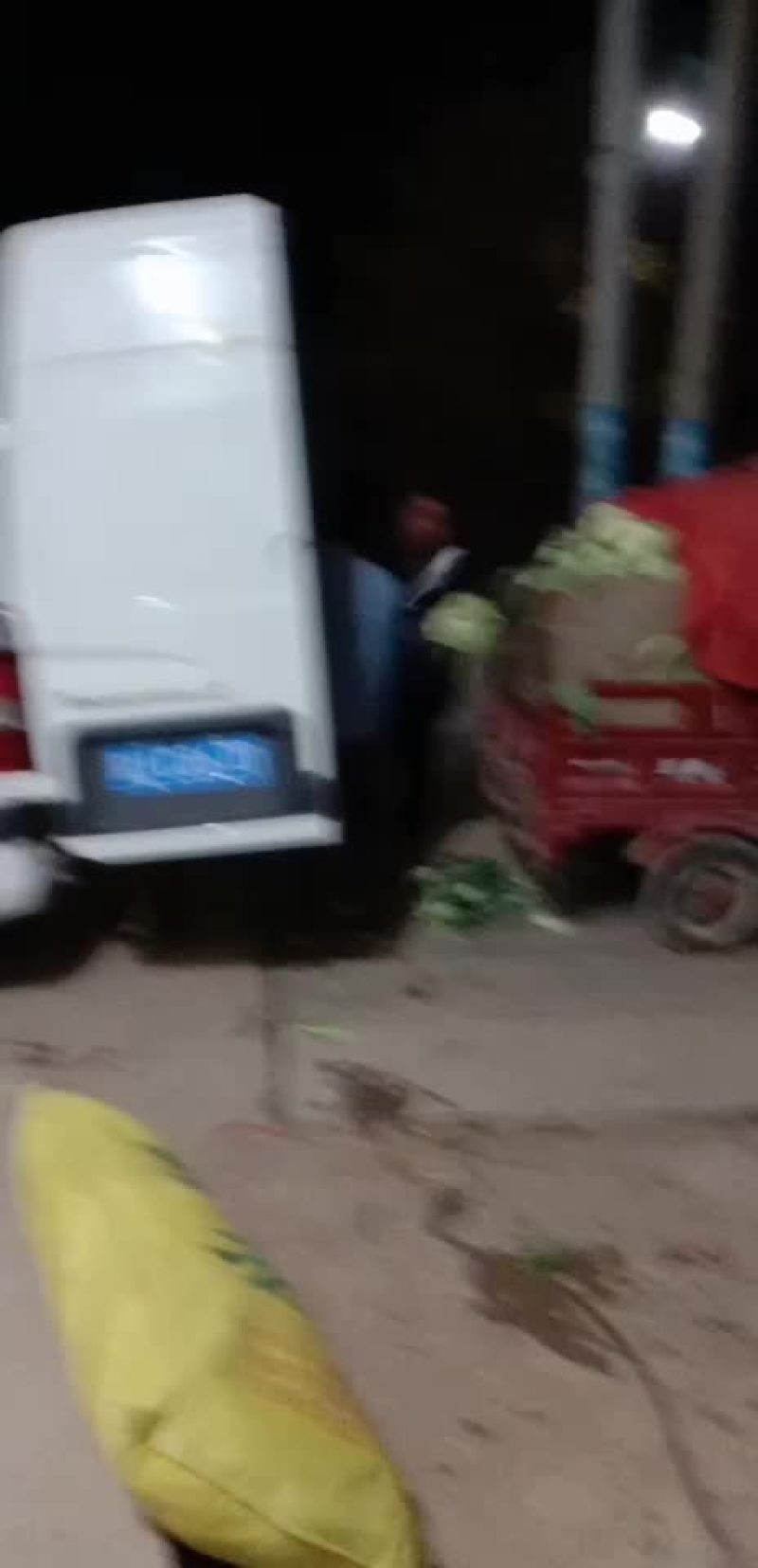 陕西渭南，绿粑粑茄子，大量上市中。颜色好，个新的