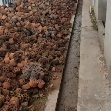 蜂窝煤渣收购