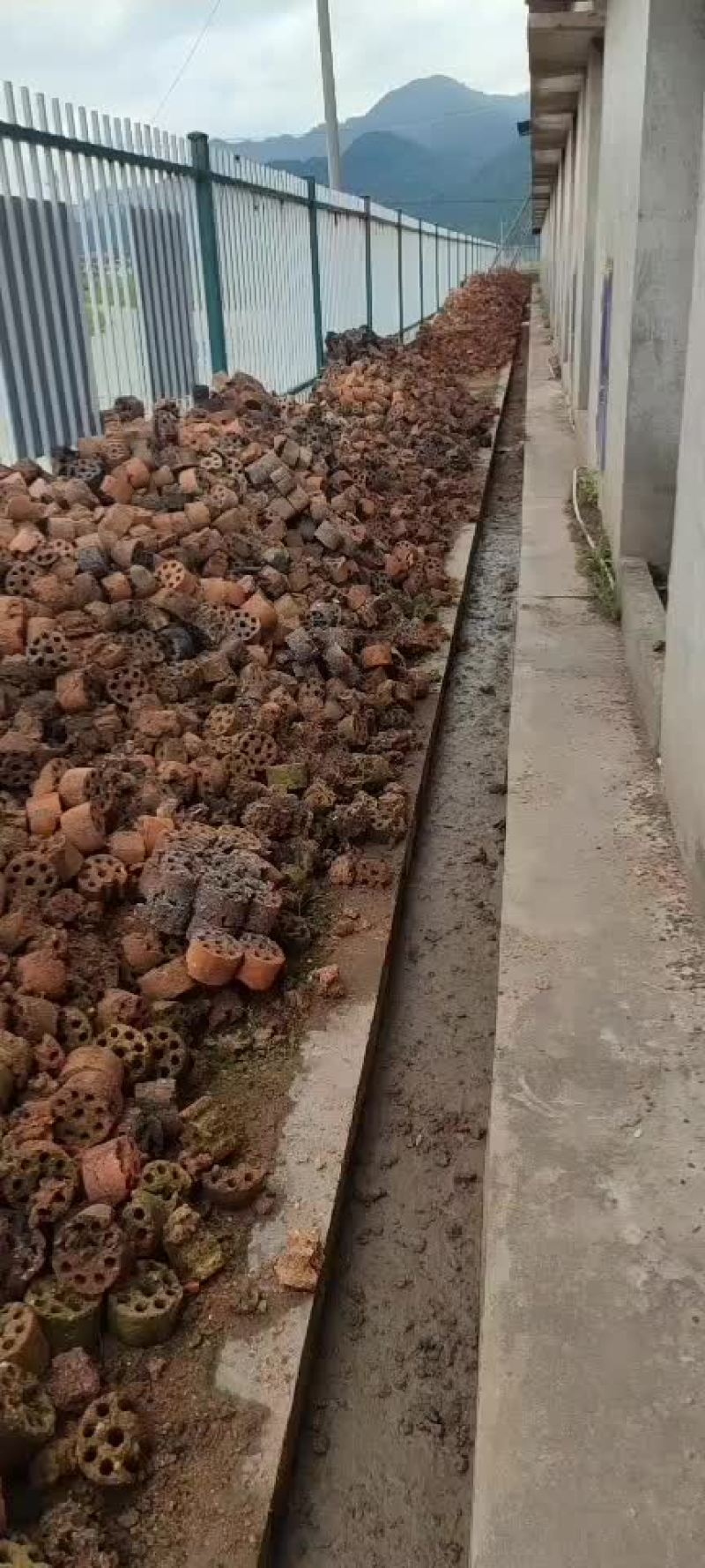 蜂窝煤渣收购