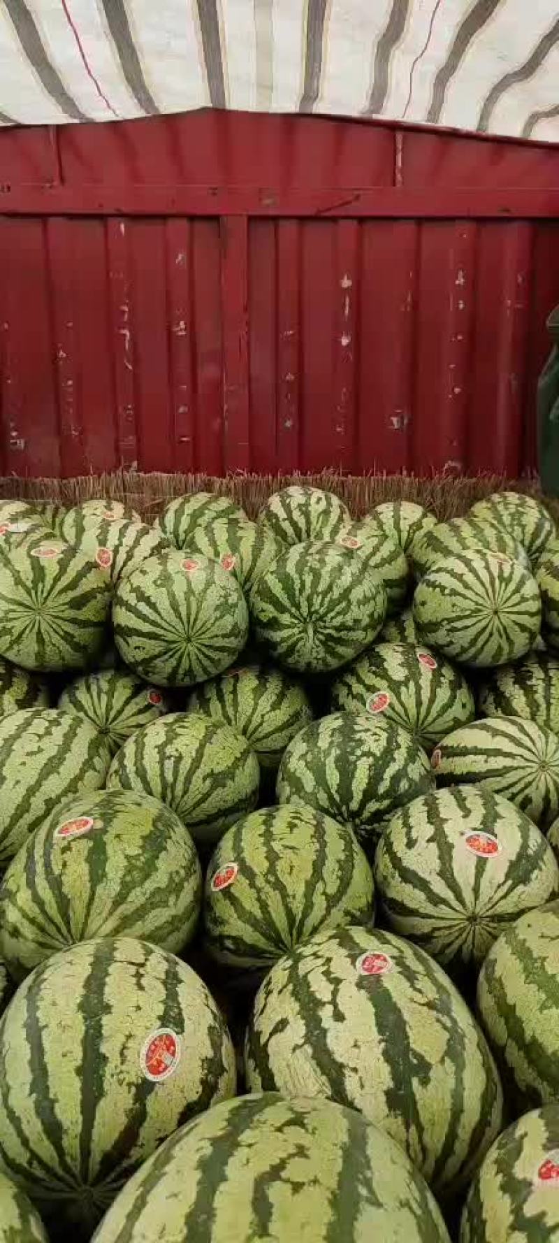西瓜