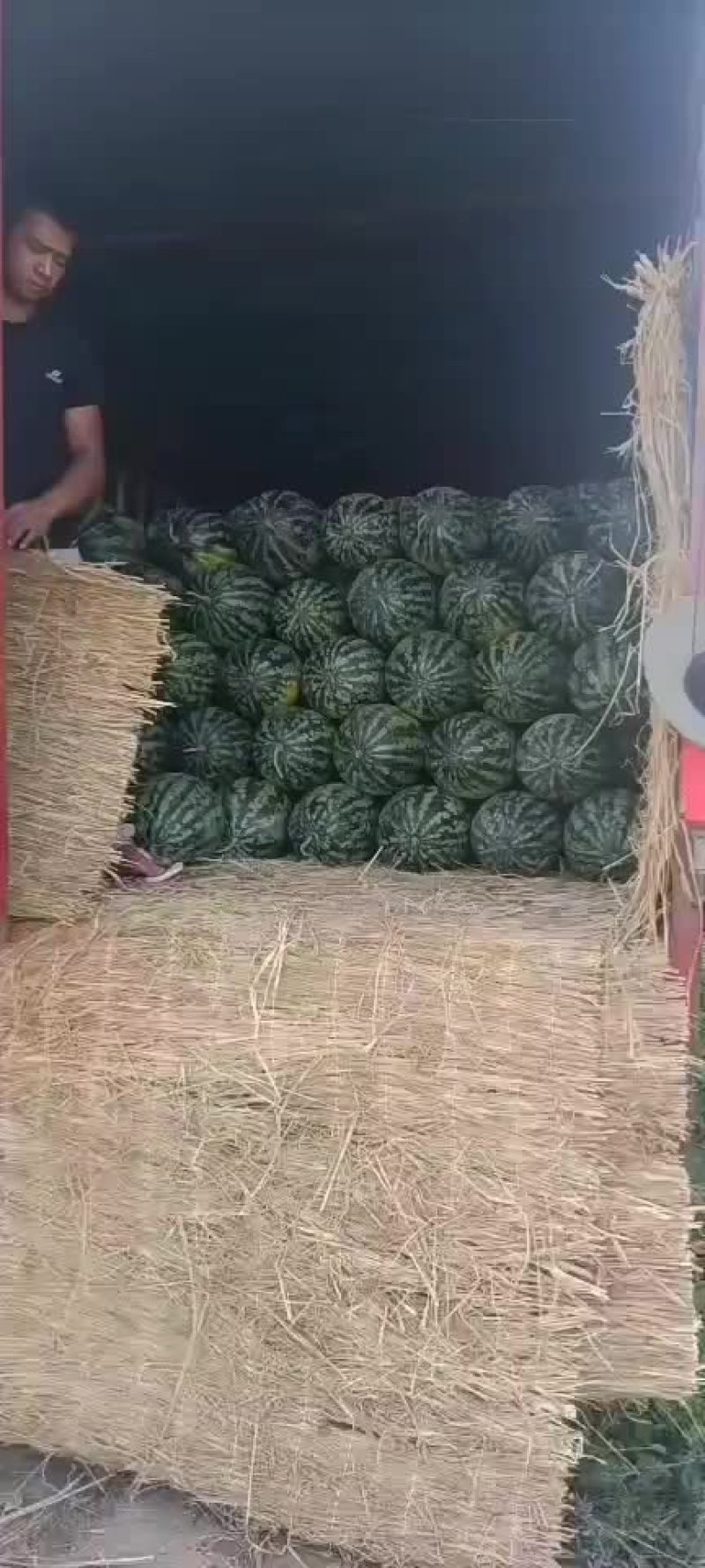 西瓜