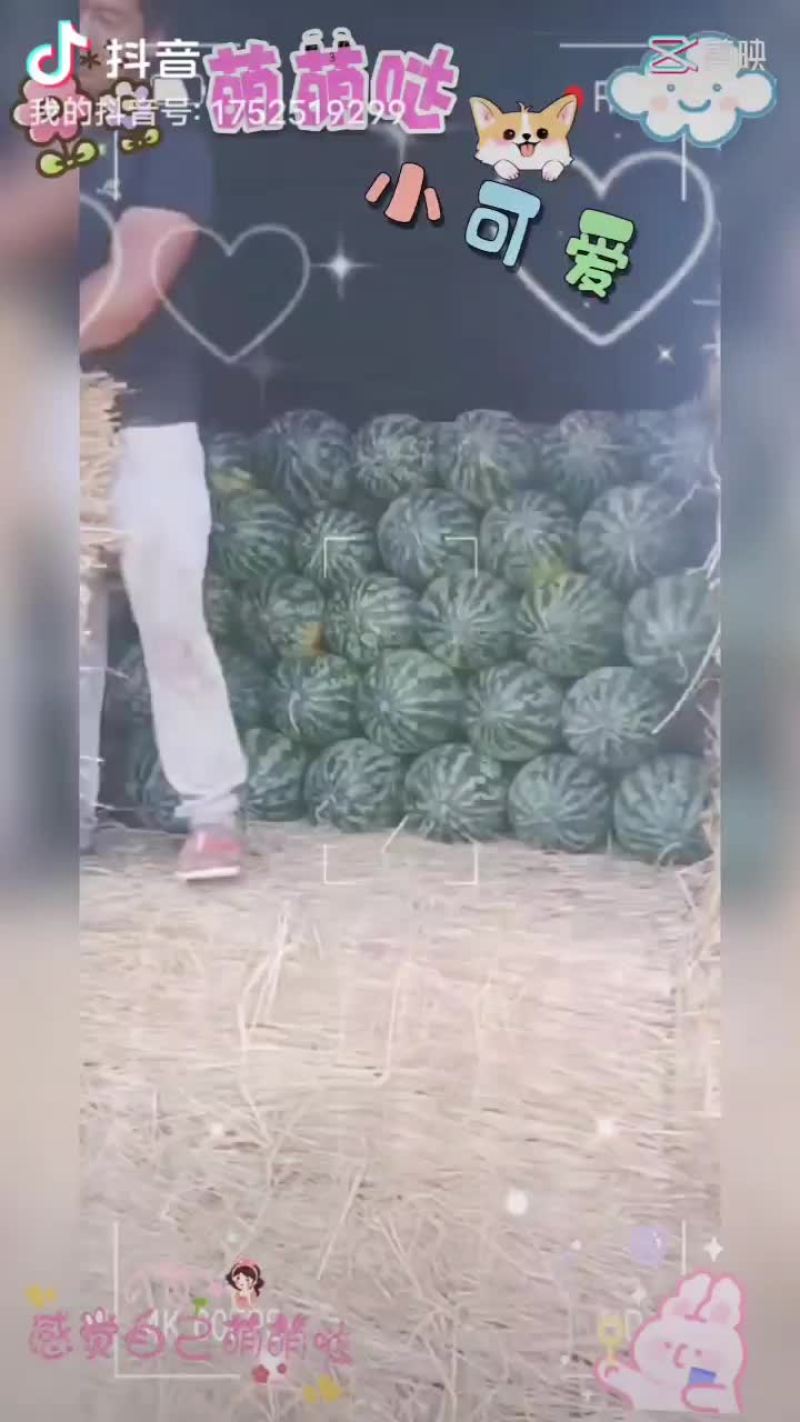 西瓜