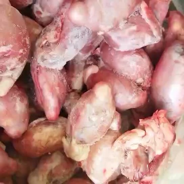 羊宝羊蛋新鲜羊宝冷鲜羊蛋