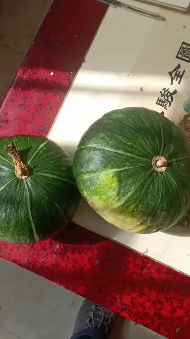 贝贝南瓜大量共应连系