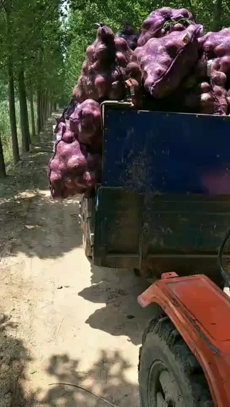蔬菜