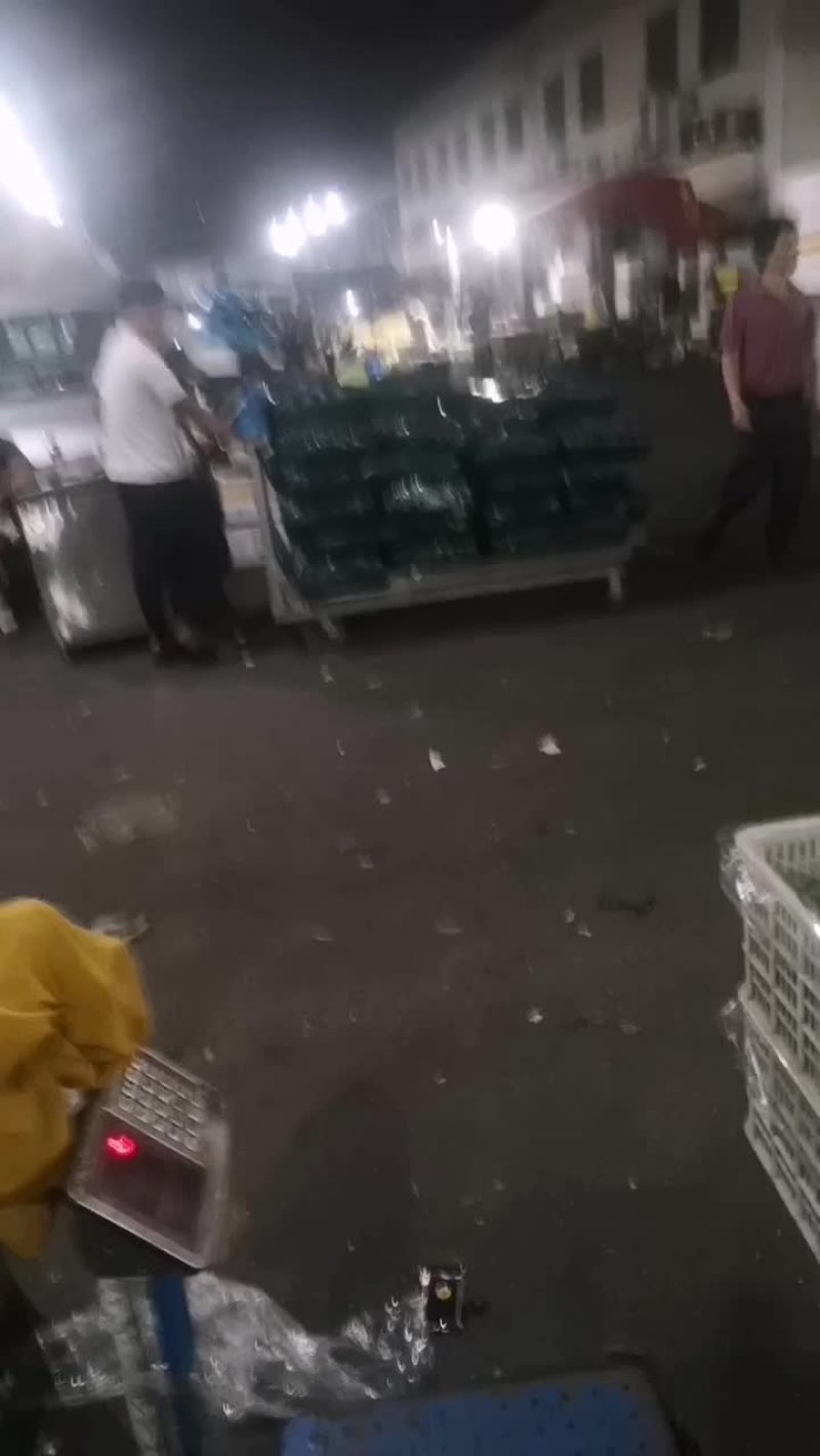 甘蓝菜