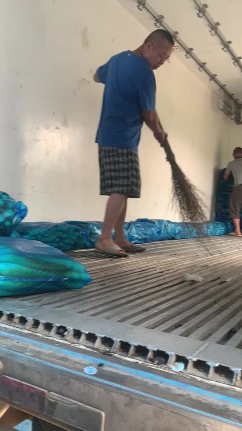 茭白